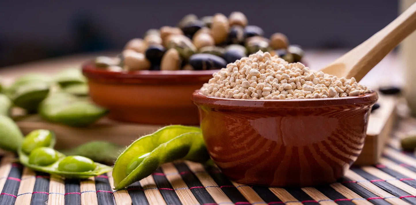 Tasty Pott Bio Sojagranulat 1000g - Veganer Fleischersatz Tasty Pott