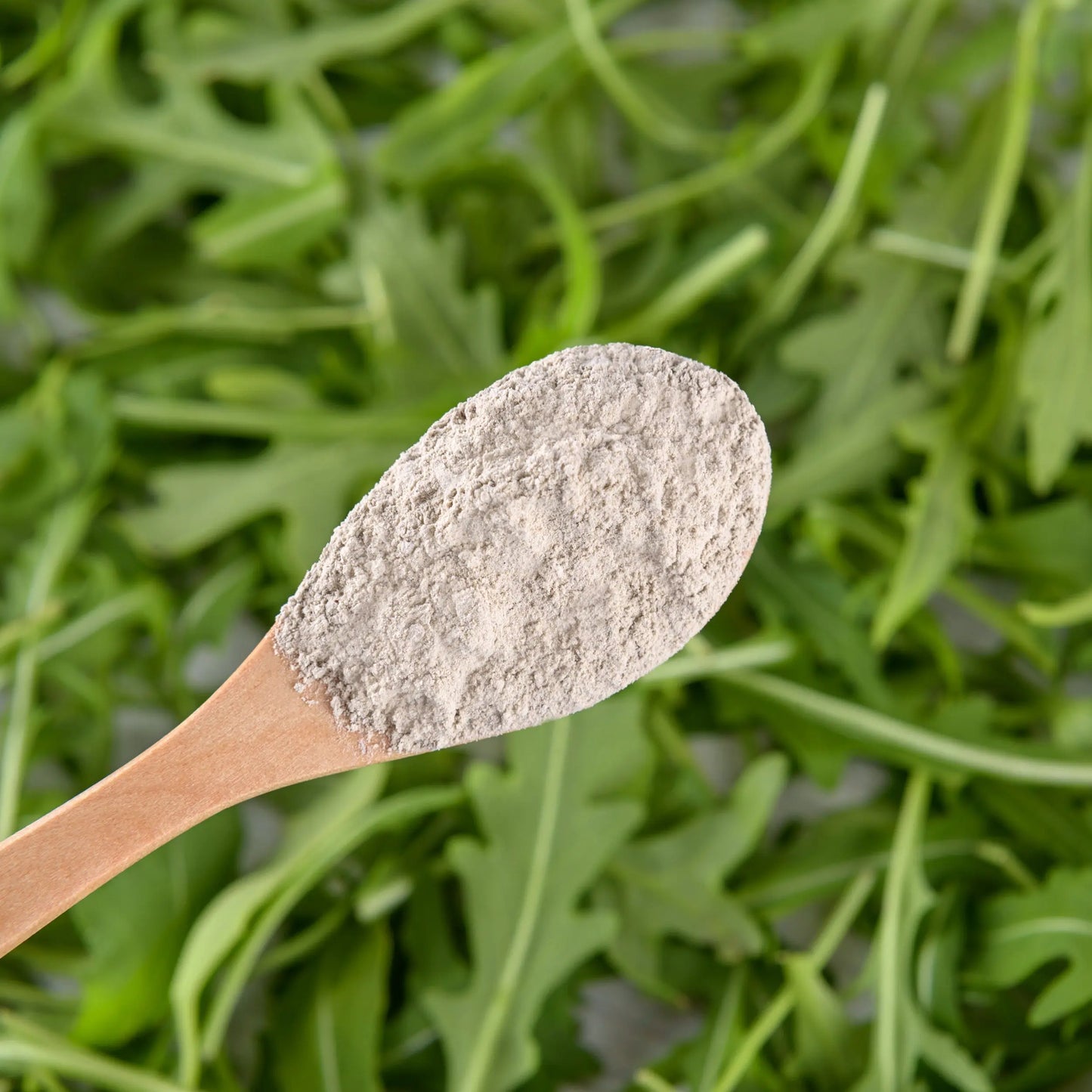 Tasty Pott Bio Löwenzahnwurzel gemahlen 200g Tasty Pott