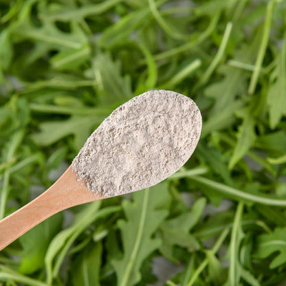 Tasty Pott Bio Löwenzahnwurzel gemahlen 200g Tasty Pott