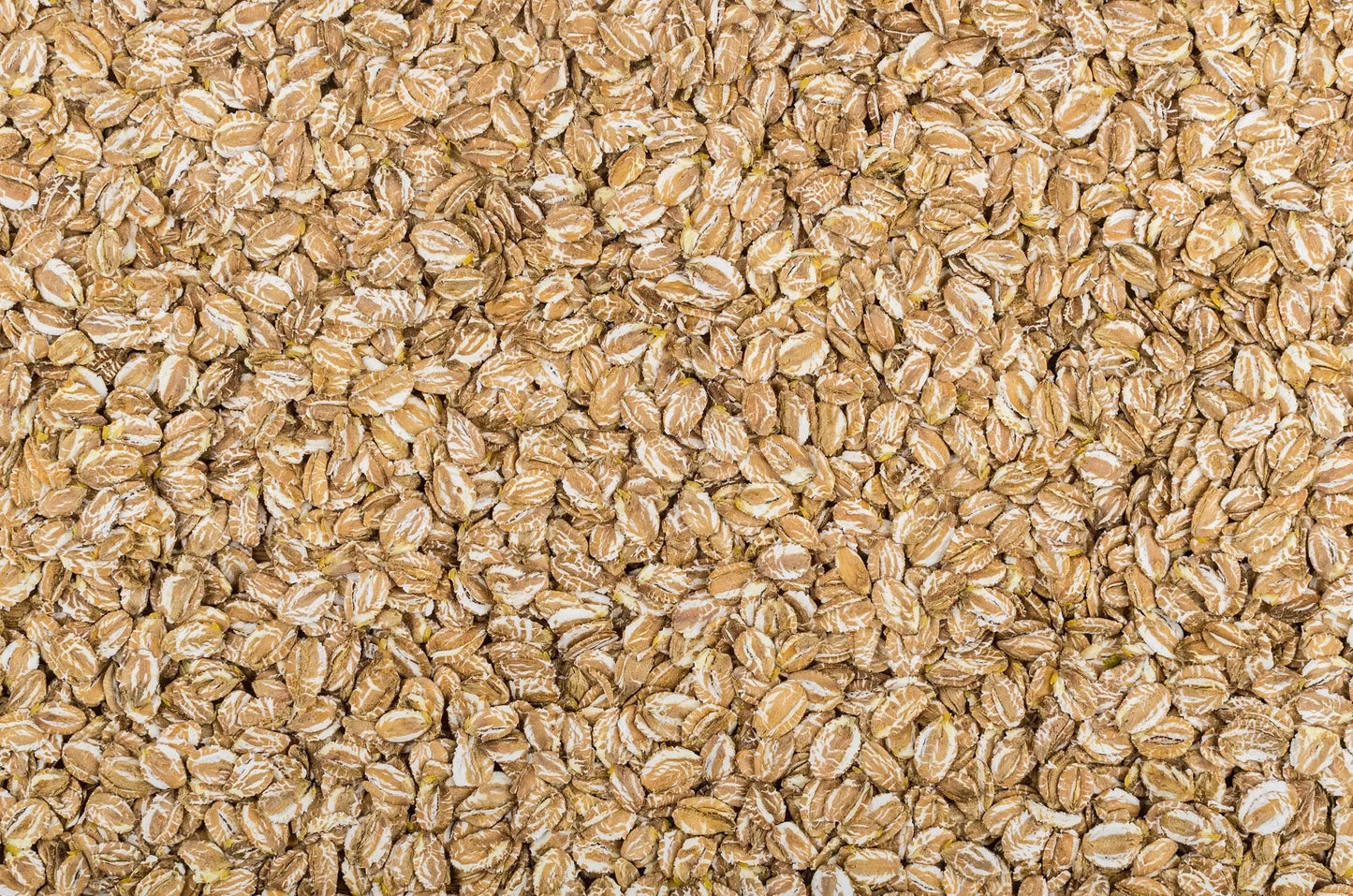 Bio Roggenflocken im Beutel Tasty Pott
