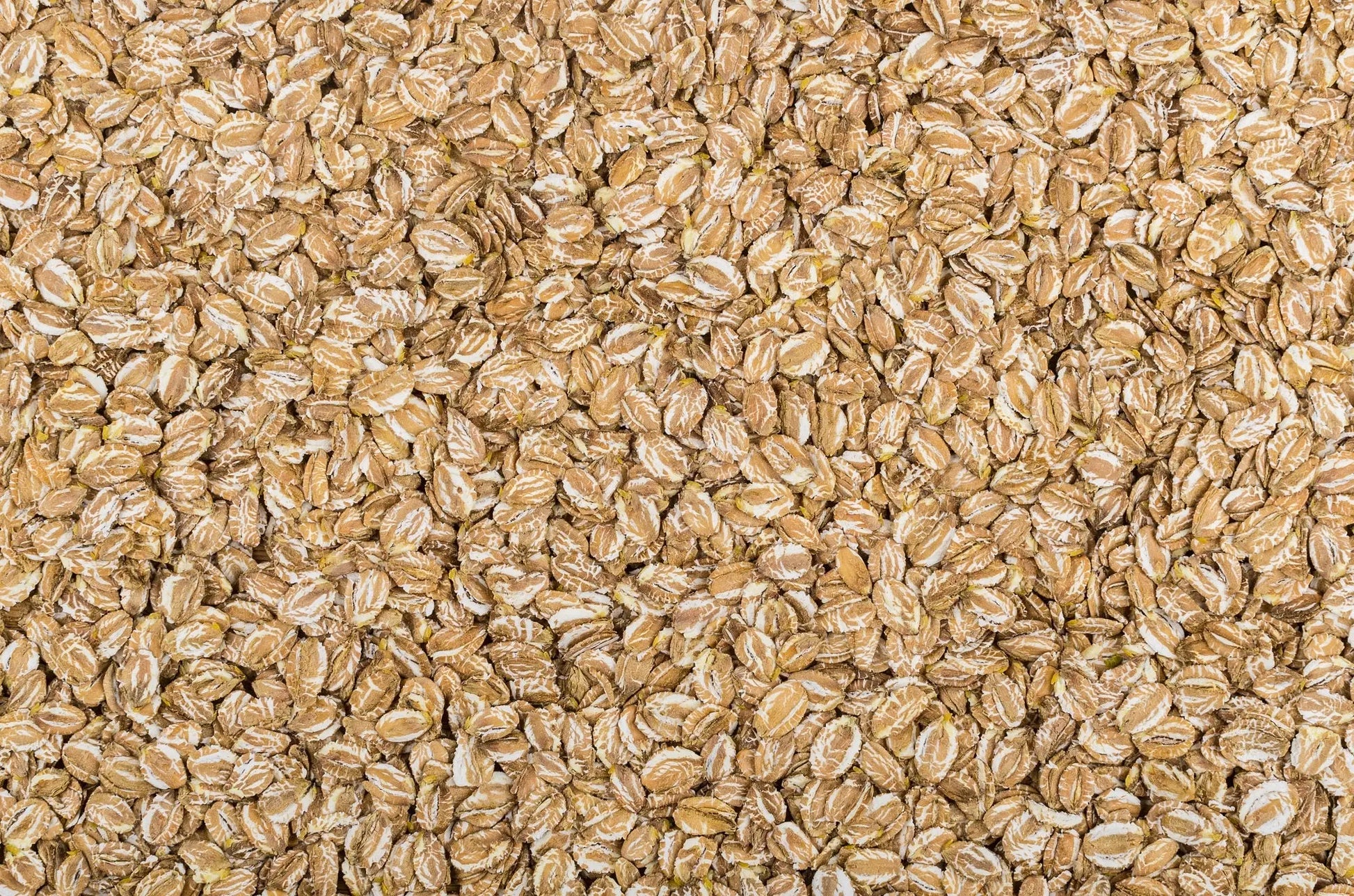 Bio Roggenflocken im Beutel Tasty Pott