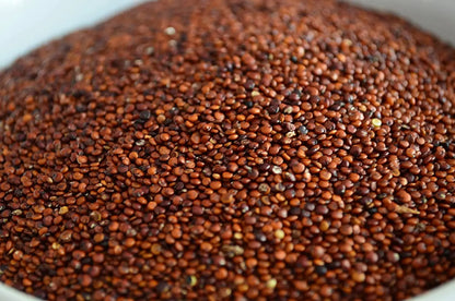 Tasty Pott Bio Quinoa Rot 2 kg - Glutenfrei & Nussig - Tasty Pott