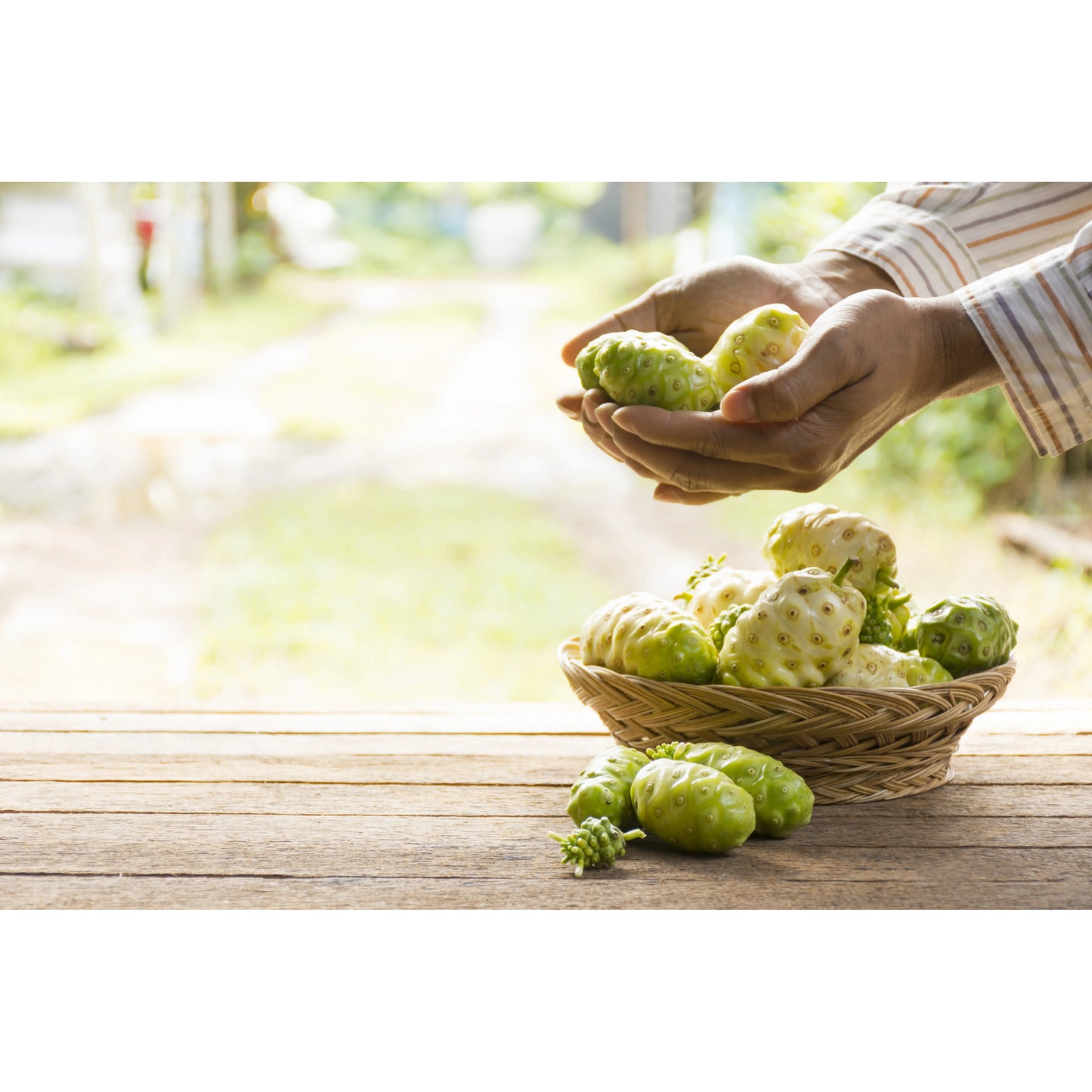 Bio Noni Saft - 1000 ml | Tasty Pott - Tasty Pott
