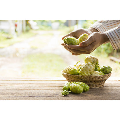 Bio Noni Saft - 1000 ml | Tasty Pott - Tasty Pott