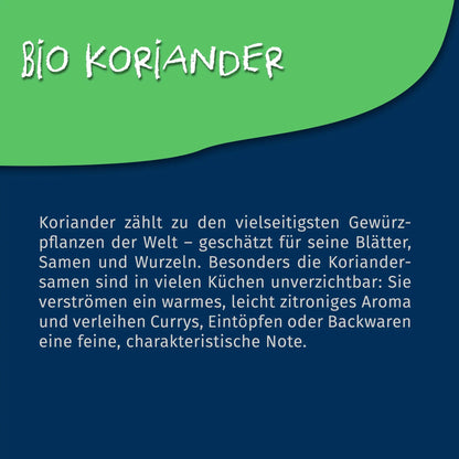 Bio Koriander ganz - 60g Dose von Tasty Pott - Tasty Pott