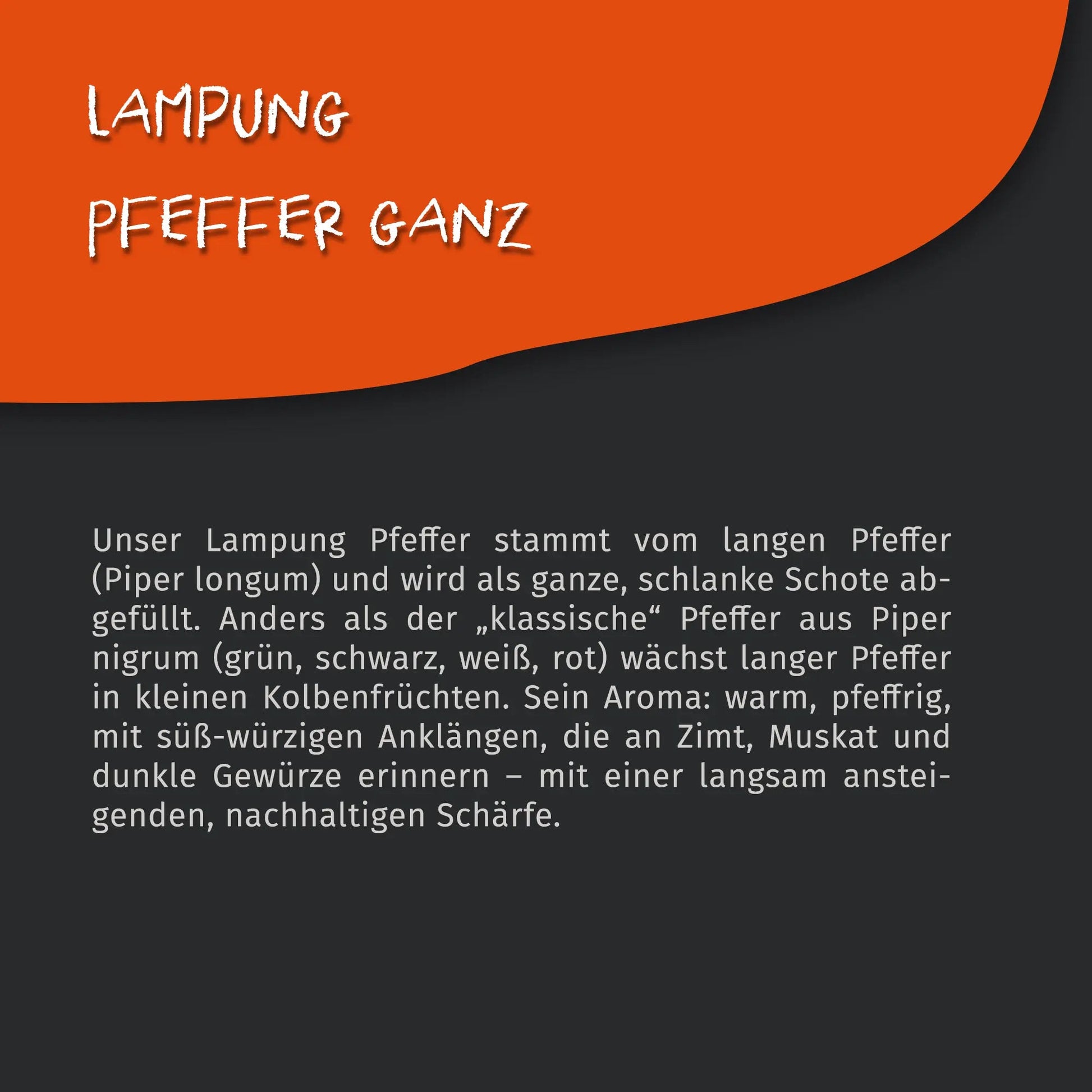 Lampung Pfeffer ganz - Stangenpfeffer - 50g Dose Tasty Pott