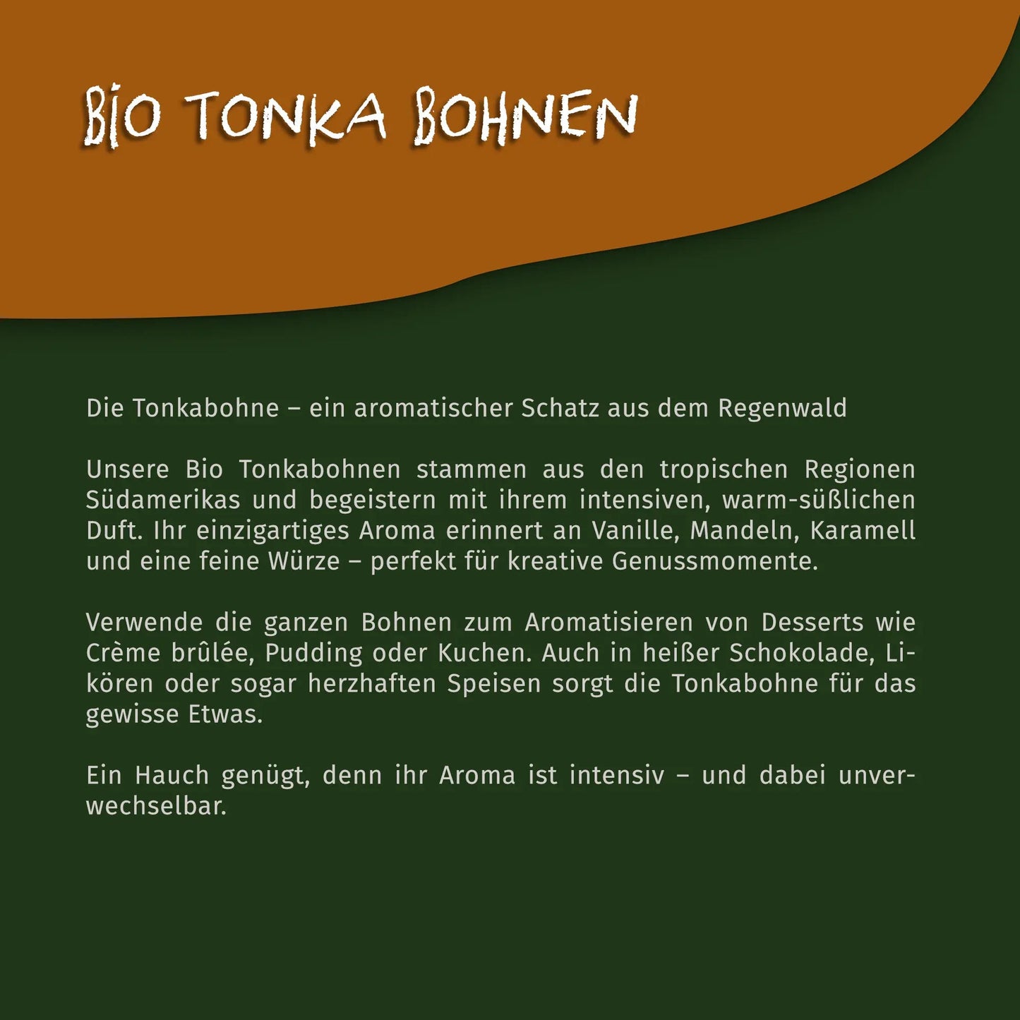 Bio Tonka Bohnen - 70g Dose von Tasty Pott Tasty Pott