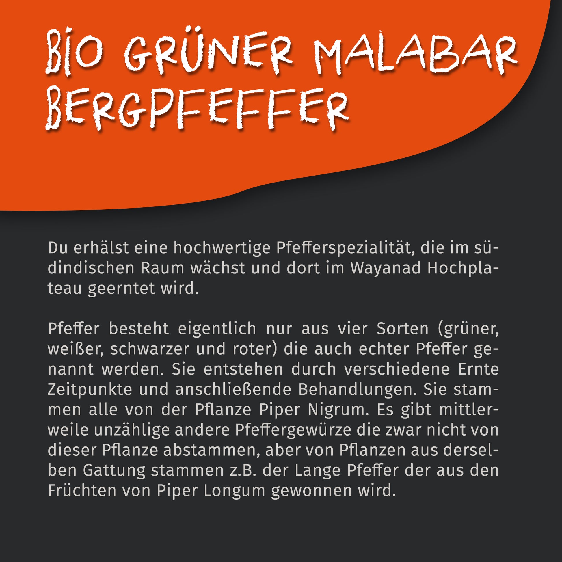 Bio Grüner Malabar Pfeffer - 50g Dose von Tasty Pott — Abbildung 4