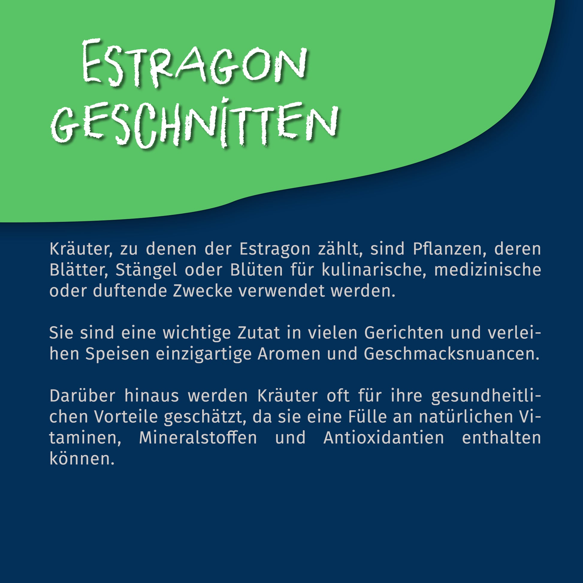 Estragon getrocknet & geschnitten | ab 30g von Tasty Pott — Abbildung 4