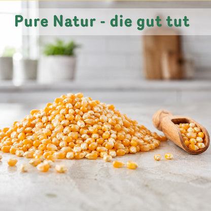 Bio Popcorn Mais - ab 500g im Beutel von Tasty Pott — Abbildung 5