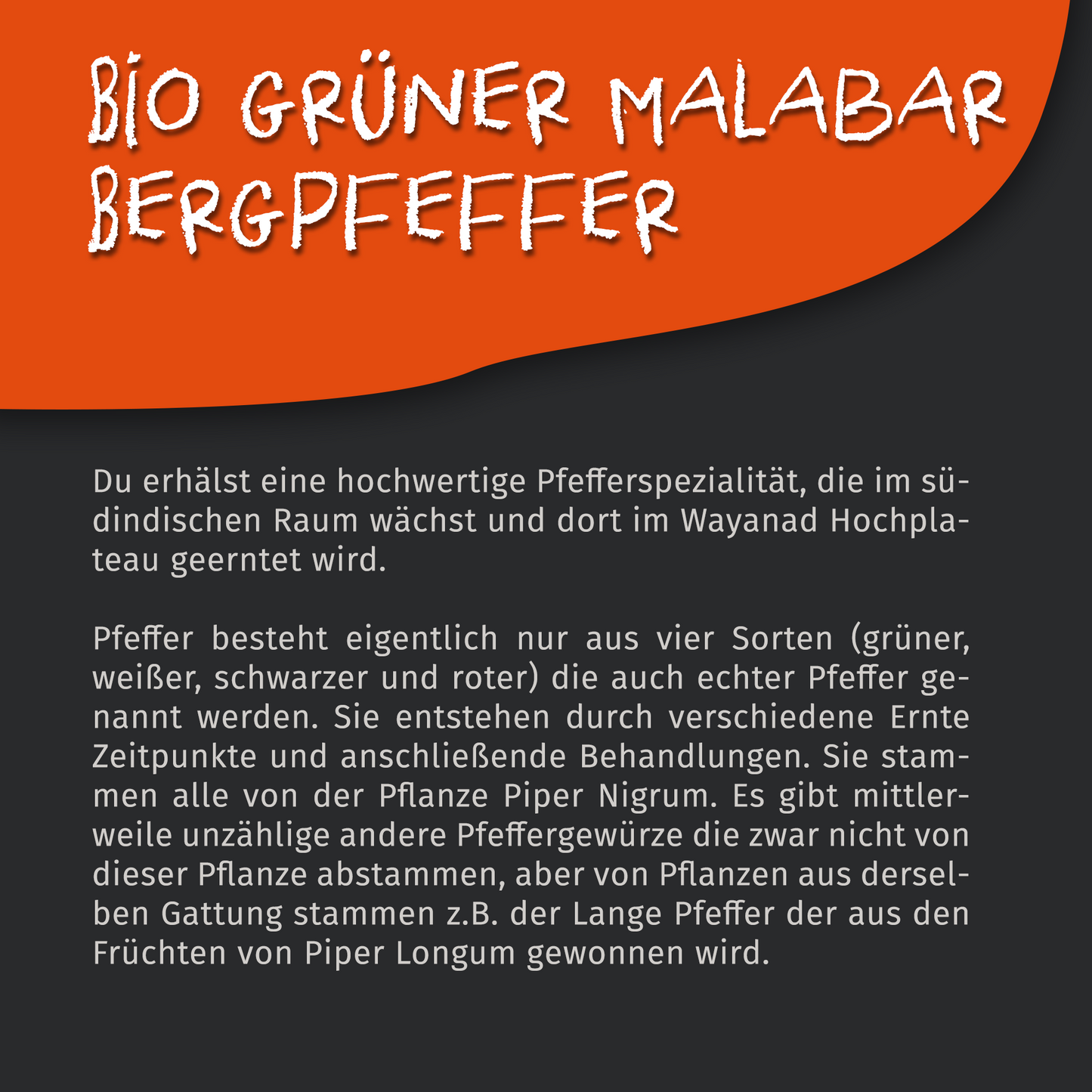 Bio Grüner Malabar Pfeffer - 50g Dose von Tasty Pott