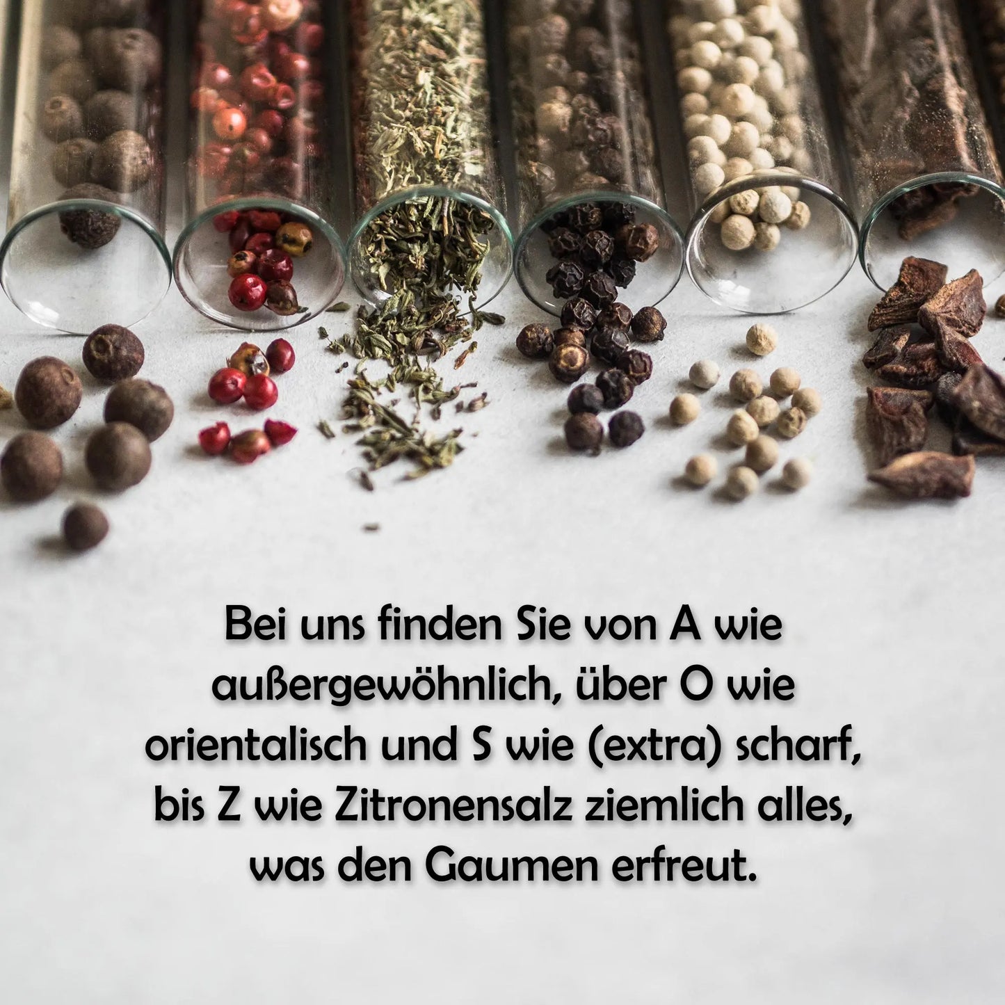 Senf Geschenkset für Feinschmecker | Tasty Pott Tasty Pott